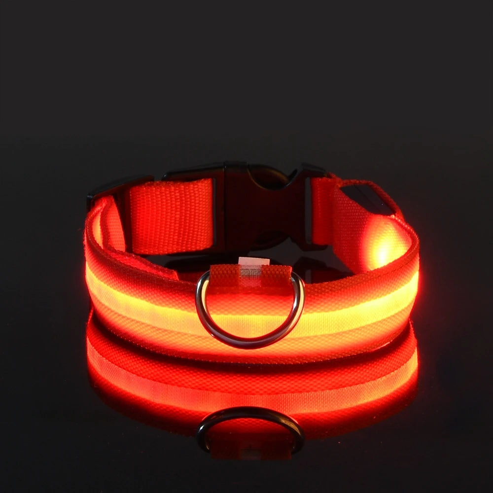 MyCozyPaw™ GlowSafe LED Collar