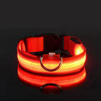 MyCozyPaw™ GlowSafe LED Collar