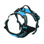 MyCozyPaw™ ComfortWalk Harness Set