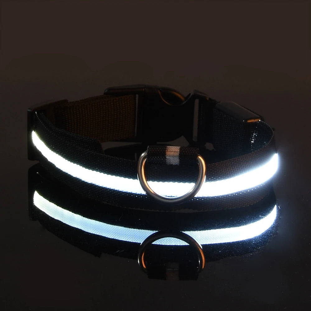 MyCozyPaw™ GlowSafe LED Collar