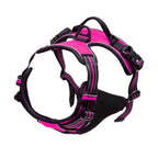 MyCozyPaw™ ComfortWalk Harness Set