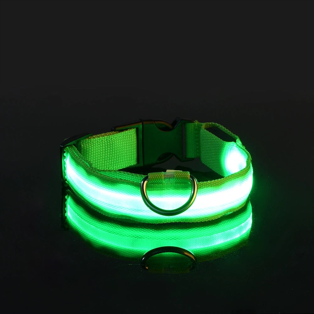 MyCozyPaw™ GlowSafe LED Collar