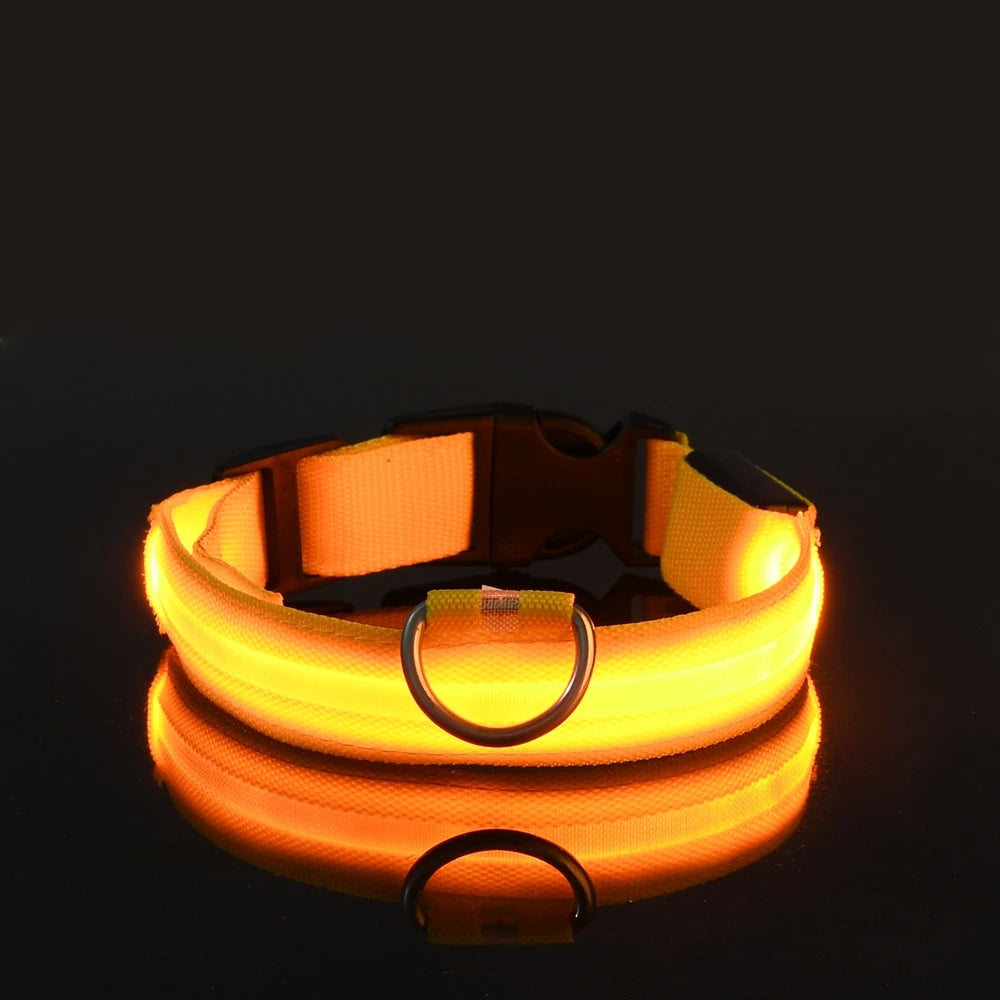 MyCozyPaw™ GlowSafe LED Collar