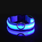 MyCozyPaw™ GlowSafe LED Collar