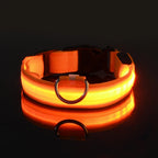 MyCozyPaw™ GlowSafe LED Collar