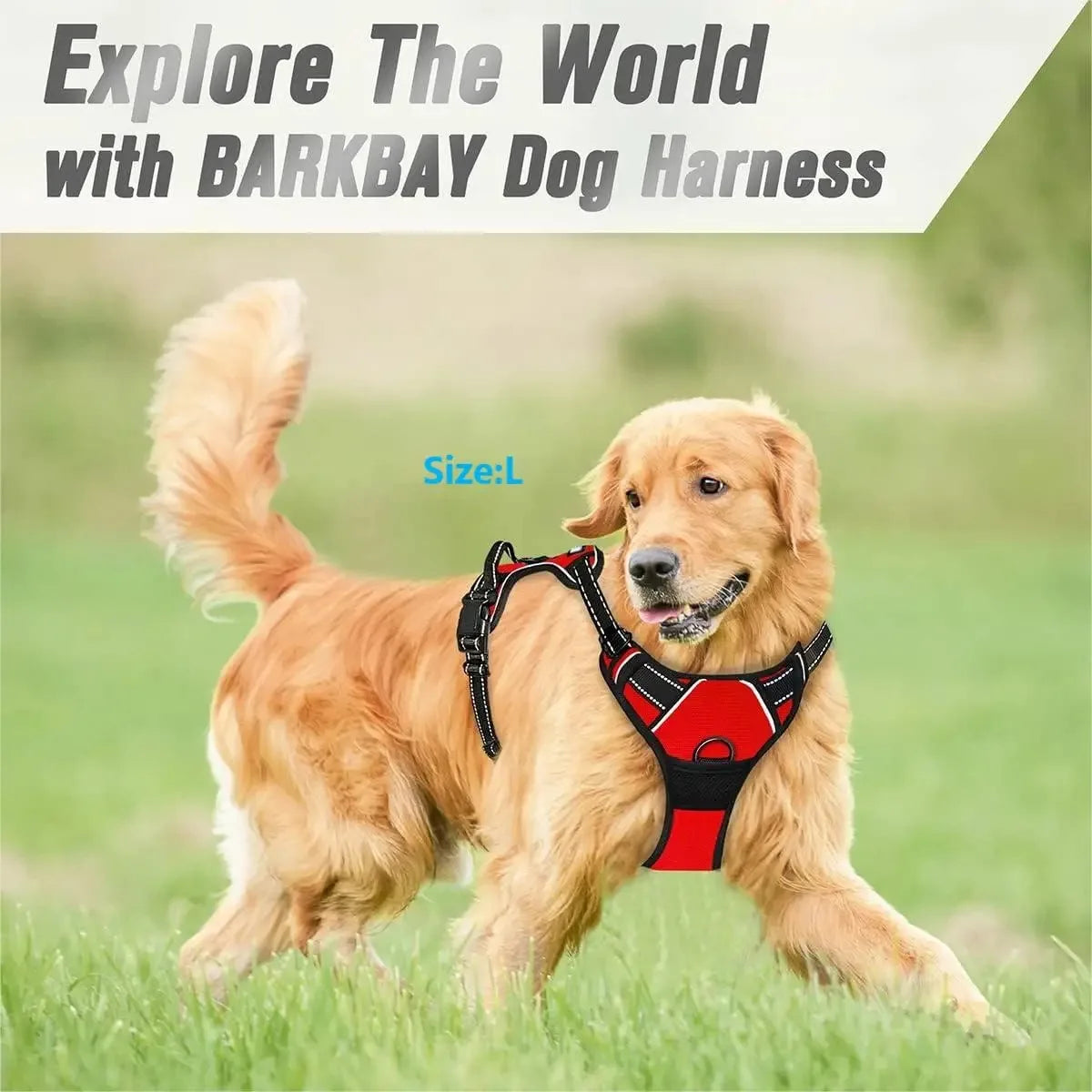 MyCozyPaw™ ComfortWalk Harness Set