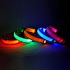 MyCozyPaw™ GlowSafe LED Collar