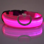 MyCozyPaw™ GlowSafe LED Collar