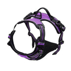 MyCozyPaw™ ComfortWalk Harness Set