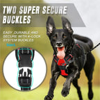 MyCozyPaw™ ComfortWalk Harness Set