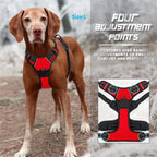 MyCozyPaw™ ComfortWalk Harness Set